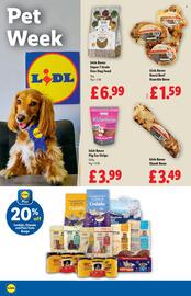 Lidl leaflet week 32 Page 16