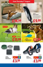 Lidl leaflet week 32 Page 17