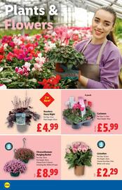 Lidl leaflet week 32 Page 22