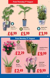 Lidl leaflet week 32 Page 23