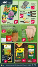 NETTO Prospekt woche 33 Seite 18