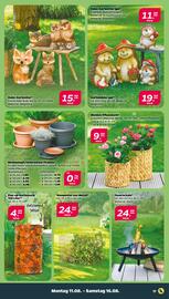 NETTO Prospekt woche 33 Seite 19