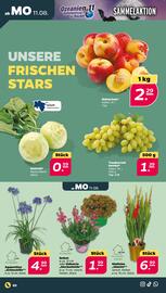 NETTO Prospekt woche 33 Seite 2