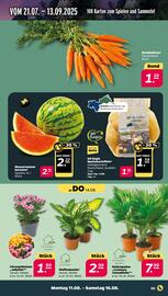 NETTO Prospekt woche 33 Seite 3