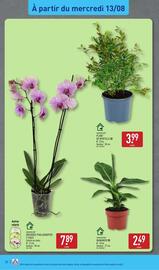 Catalogue ALDI semaine 33 page 40
