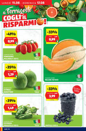 Volantino ALDI settimana 33 Pagina 10