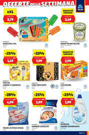Volantino ALDI settimana 33 Pagina 13