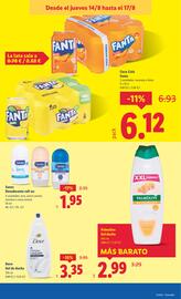 Folleto Lidl semana 33 Página 31