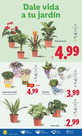 Folleto Lidl semana 33 Página 32