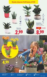 Folleto Lidl semana 33 Página 33