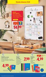 Folleto Lidl | de Bazar Página 21