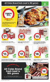 Coles catalogue week 32 Page 13