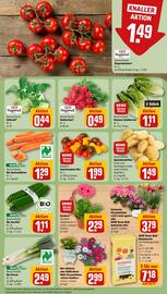 Rewe DE folder week 32 Pagina 7