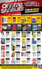 Catálogo Supermercados Yaguar Página 1