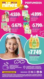 Catálogo Supermercados Yaguar Página 43