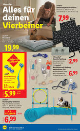 Lidl Flugblatt woche 32 Seite 22
