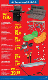 Lidl Flugblatt woche 32 Seite 19