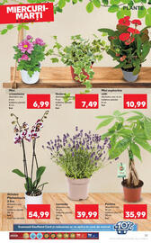 Catalog Kaufland săptămâna 32 Pagină 39