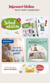 Rossmann Prospekt Seite 6
