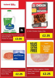 Iceland leaflet Page 3