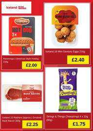 Iceland leaflet Page 4