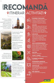 Catalog Metro Pagină 105
