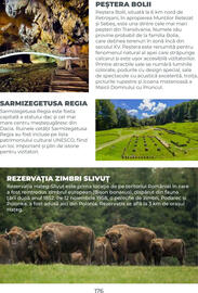 Catalog Metro Pagină 176