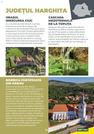 Catalog Metro Pagină 183