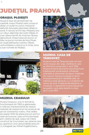 Catalog Metro Pagină 29