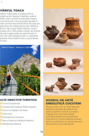 Catalog Metro Pagină 76
