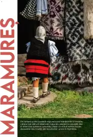 Catalog Metro Pagină 100