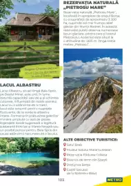 Catalog Metro Pagină 103