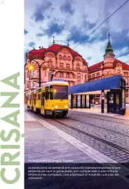 Catalog Metro Pagină 114