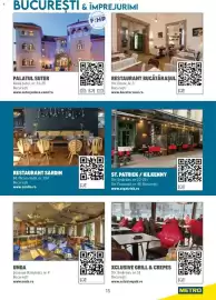 Catalog Metro Pagină 15