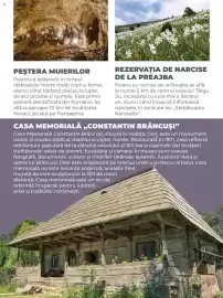 Catalog Metro Pagină 152