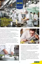 Catalog Metro Pagină 17