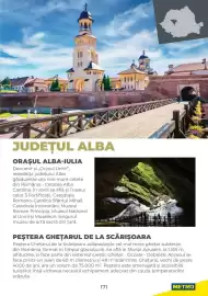 Catalog Metro Pagină 171