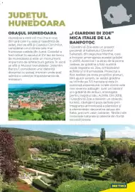 Catalog Metro Pagină 175