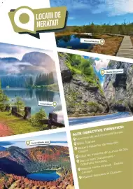 Catalog Metro Pagină 184