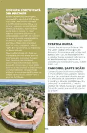 Catalog Metro Pagină 196