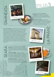 Catalog Metro Pagină 21