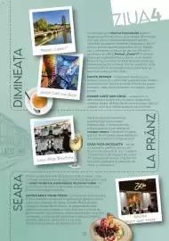 Catalog Metro Pagină 22