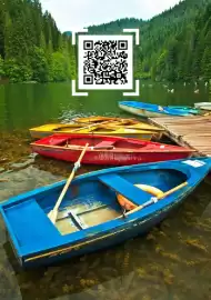 Catalog Metro Pagină 220