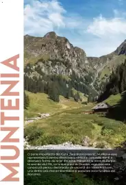 Catalog Metro Pagină 24