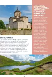 Catalog Metro Pagină 26