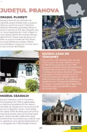 Catalog Metro Pagină 29