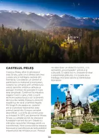 Catalog Metro Pagină 30