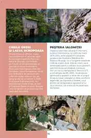 Catalog Metro Pagină 36