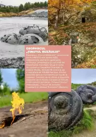 Catalog Metro Pagină 40