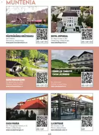 Catalog Metro Pagină 46